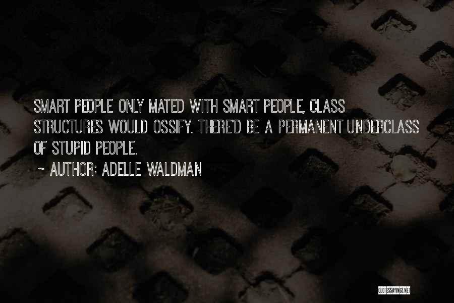 Adelle Waldman Quotes: Smart People Only Mated With Smart People, Class Structures Would Ossify. There'd Be A Permanent Underclass Of Stupid People.