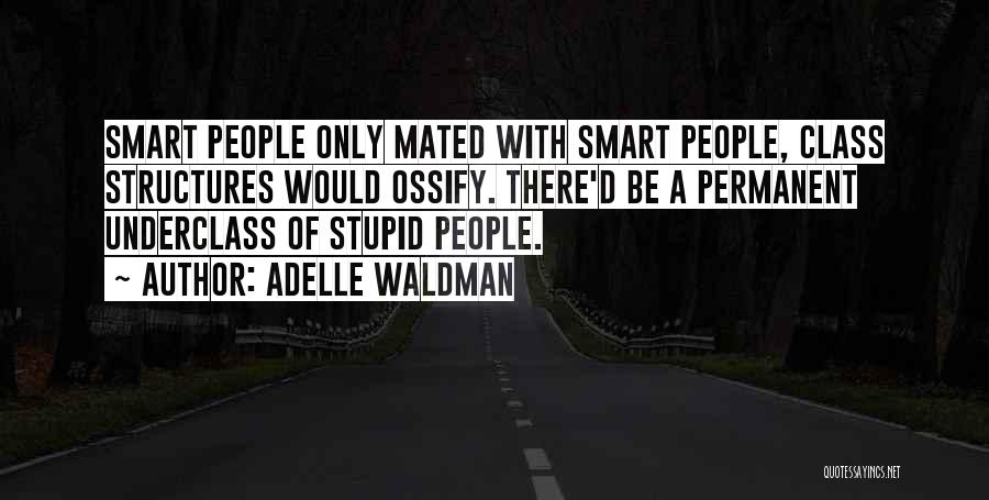 Adelle Waldman Quotes: Smart People Only Mated With Smart People, Class Structures Would Ossify. There'd Be A Permanent Underclass Of Stupid People.