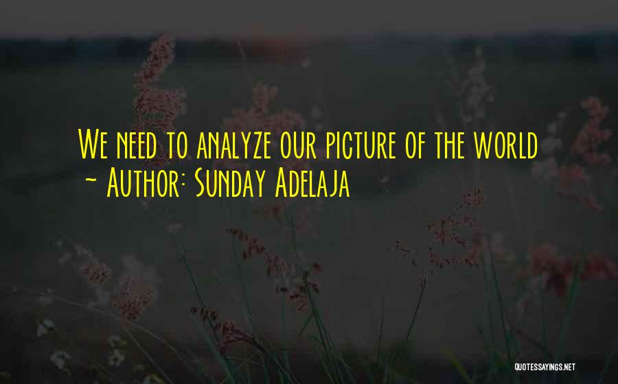 Sunday Adelaja Quotes: We Need To Analyze Our Picture Of The World