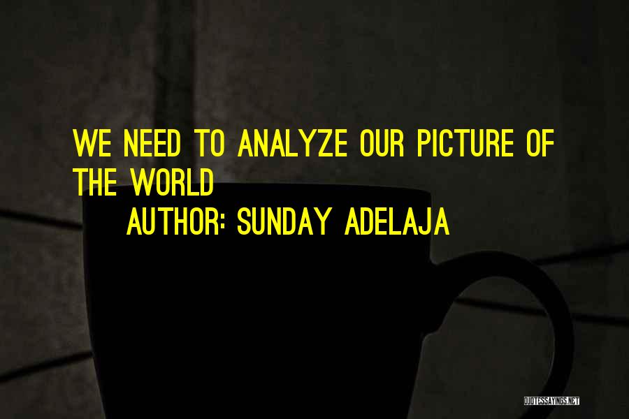 Sunday Adelaja Quotes: We Need To Analyze Our Picture Of The World