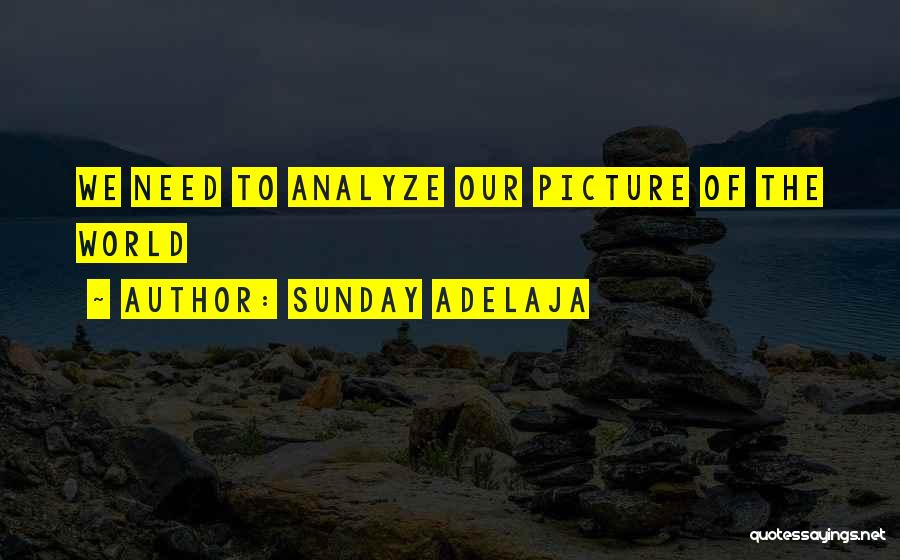 Sunday Adelaja Quotes: We Need To Analyze Our Picture Of The World