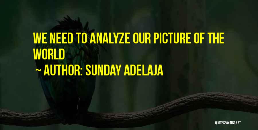 Sunday Adelaja Quotes: We Need To Analyze Our Picture Of The World