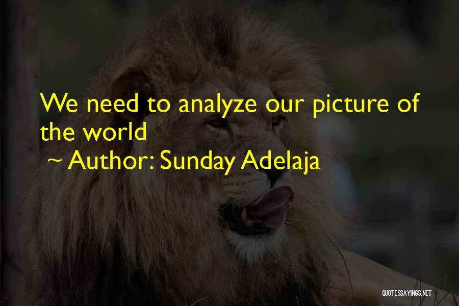 Sunday Adelaja Quotes: We Need To Analyze Our Picture Of The World