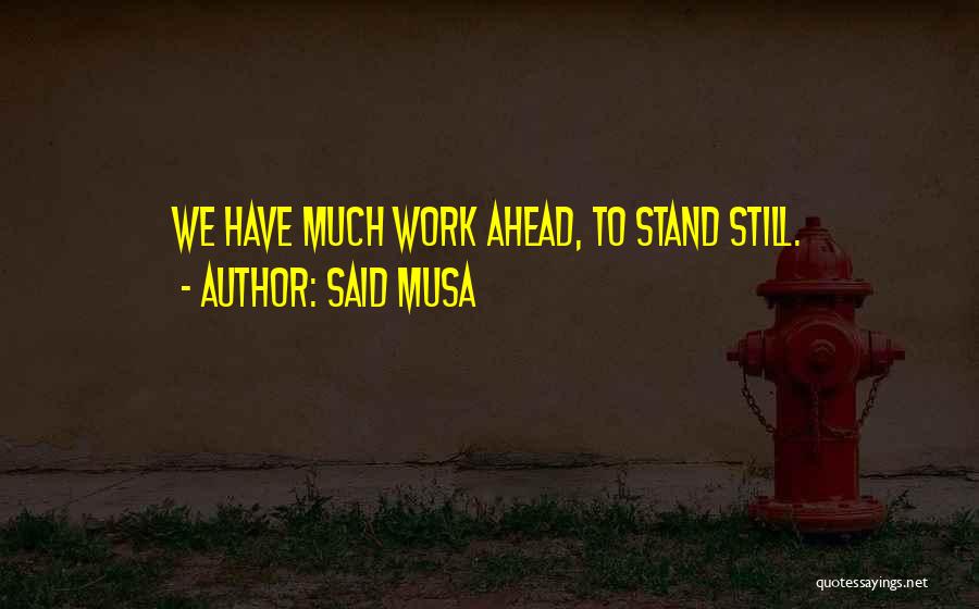 Said Musa Quotes: We Have Much Work Ahead, To Stand Still.