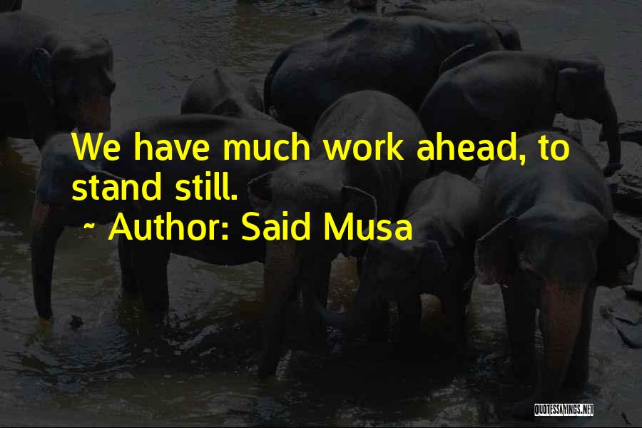 Said Musa Quotes: We Have Much Work Ahead, To Stand Still.