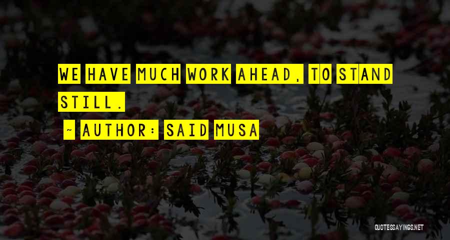 Said Musa Quotes: We Have Much Work Ahead, To Stand Still.