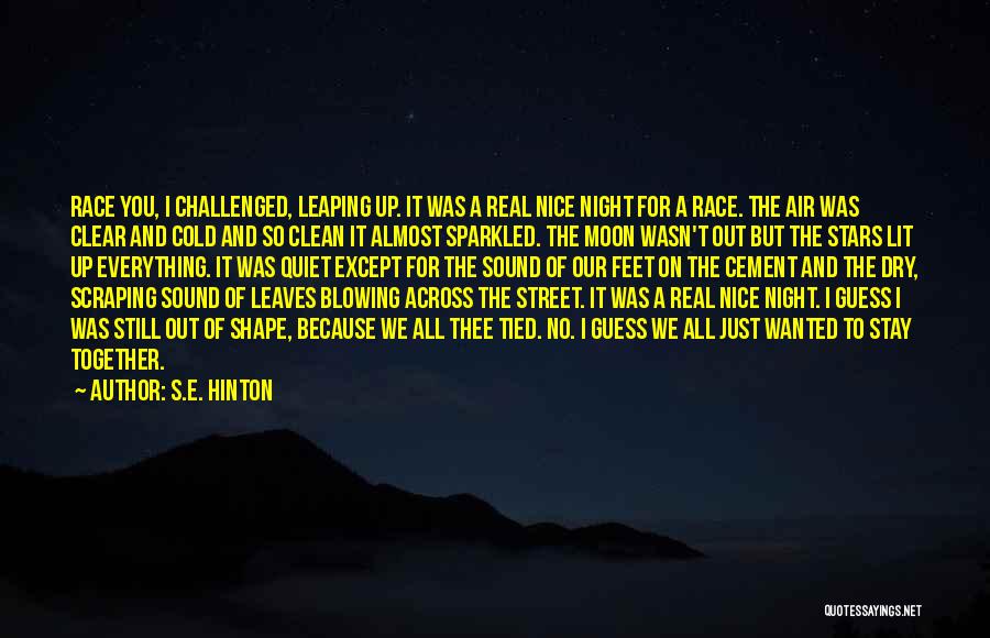 S.E. Hinton Quotes: Race You, I Challenged, Leaping Up. It Was A Real Nice Night For A Race. The Air Was Clear And