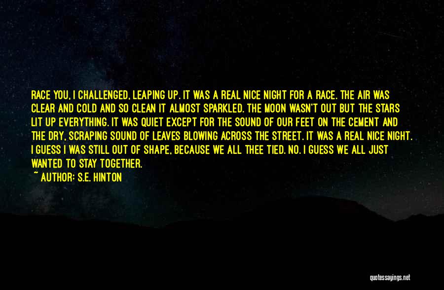 S.E. Hinton Quotes: Race You, I Challenged, Leaping Up. It Was A Real Nice Night For A Race. The Air Was Clear And
