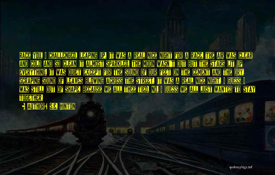 S.E. Hinton Quotes: Race You, I Challenged, Leaping Up. It Was A Real Nice Night For A Race. The Air Was Clear And