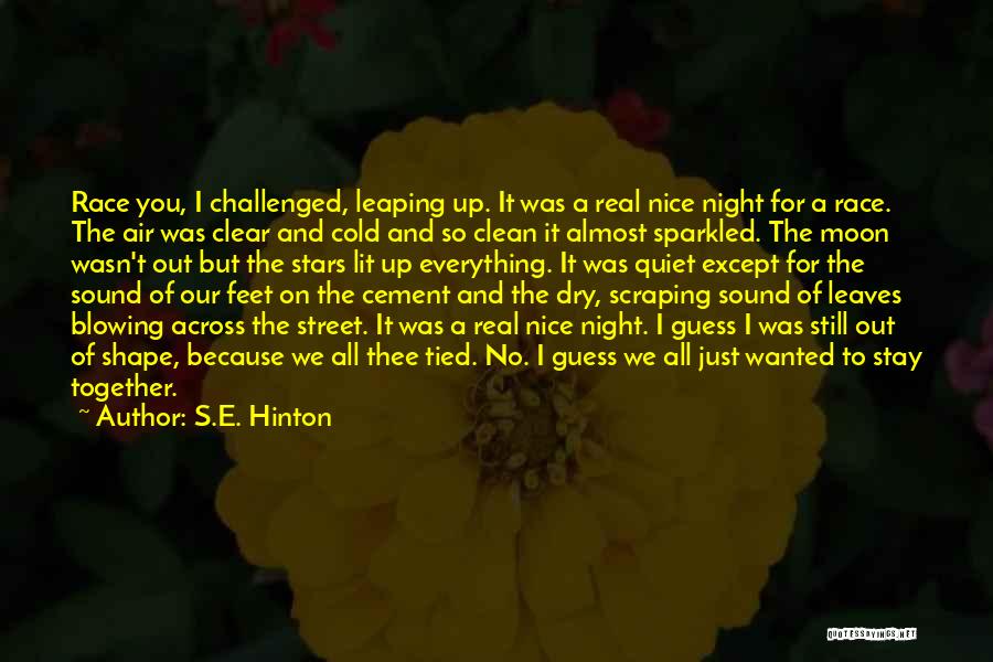 S.E. Hinton Quotes: Race You, I Challenged, Leaping Up. It Was A Real Nice Night For A Race. The Air Was Clear And