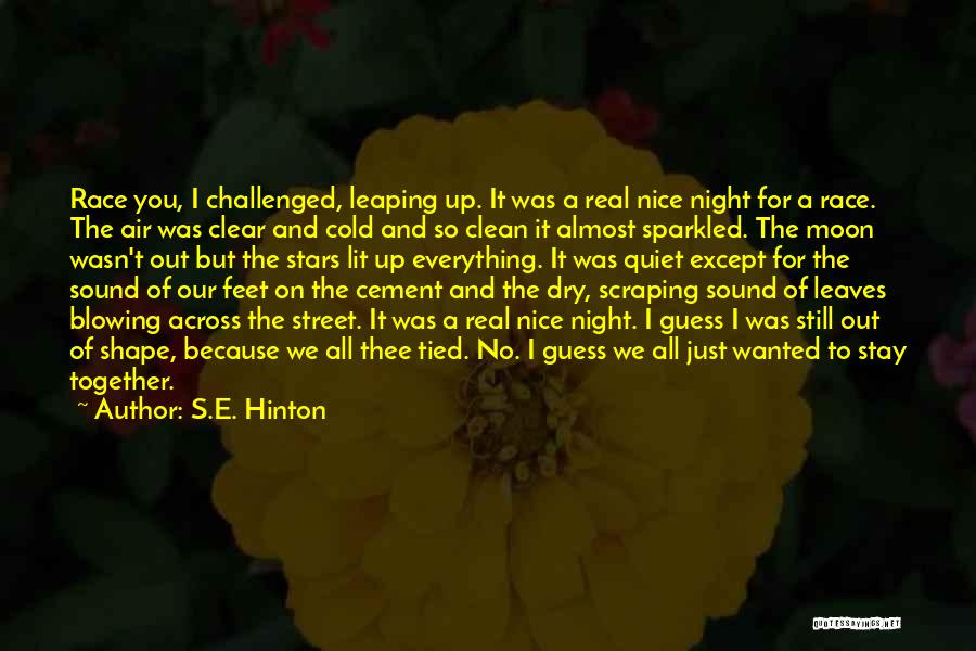 S.E. Hinton Quotes: Race You, I Challenged, Leaping Up. It Was A Real Nice Night For A Race. The Air Was Clear And