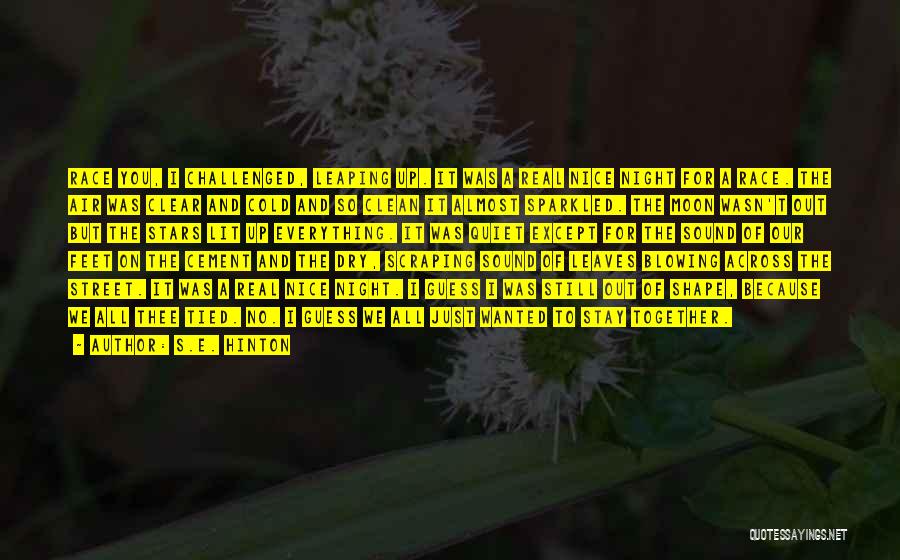 S.E. Hinton Quotes: Race You, I Challenged, Leaping Up. It Was A Real Nice Night For A Race. The Air Was Clear And