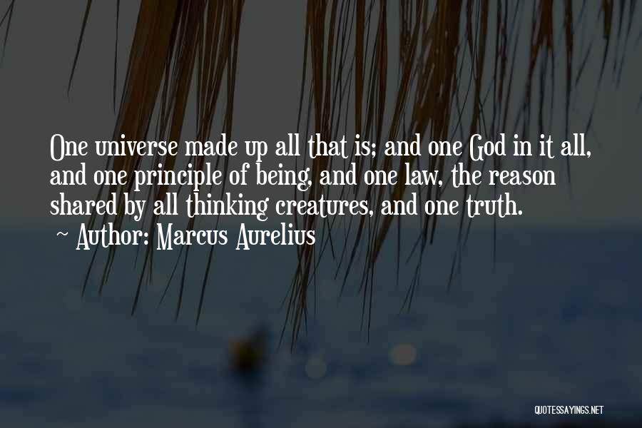 Marcus Aurelius Quotes: One Universe Made Up All That Is; And One God In It All, And One Principle Of Being, And One