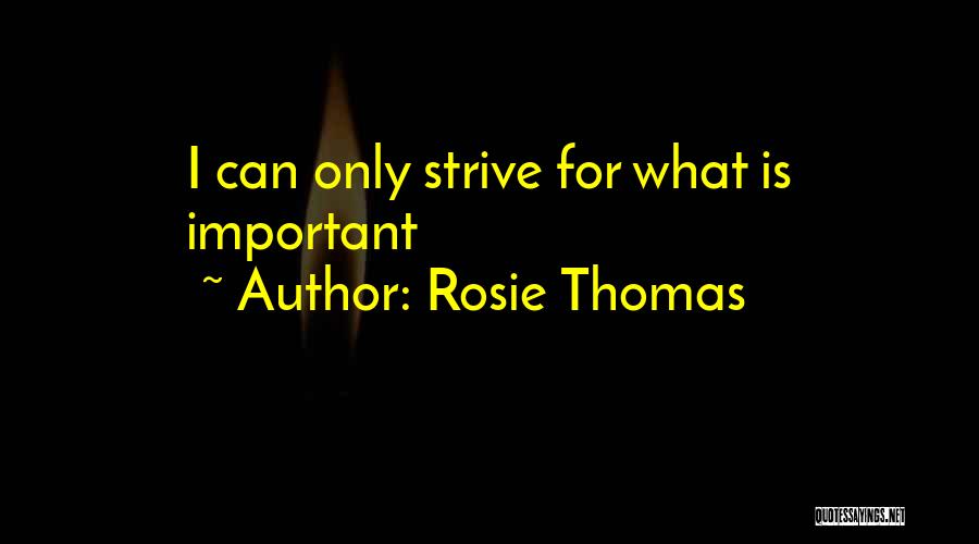 Rosie Thomas Quotes: I Can Only Strive For What Is Important