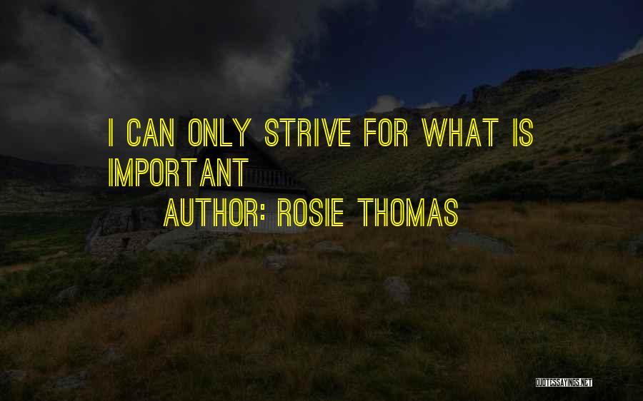 Rosie Thomas Quotes: I Can Only Strive For What Is Important