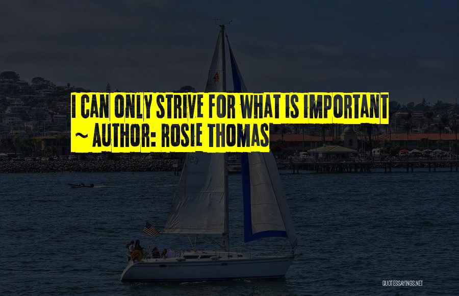 Rosie Thomas Quotes: I Can Only Strive For What Is Important