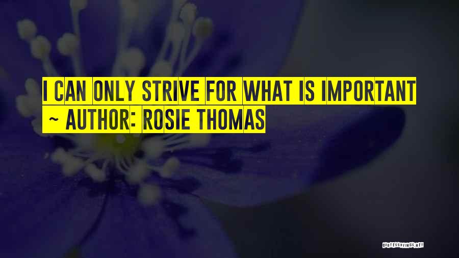 Rosie Thomas Quotes: I Can Only Strive For What Is Important