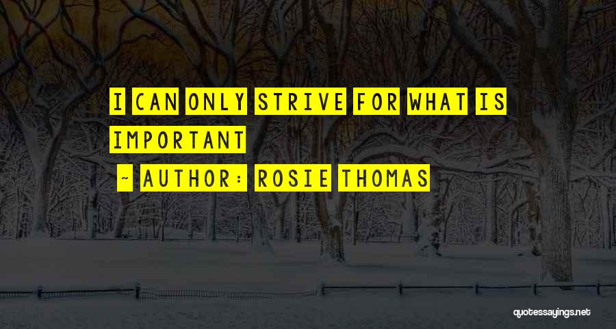 Rosie Thomas Quotes: I Can Only Strive For What Is Important
