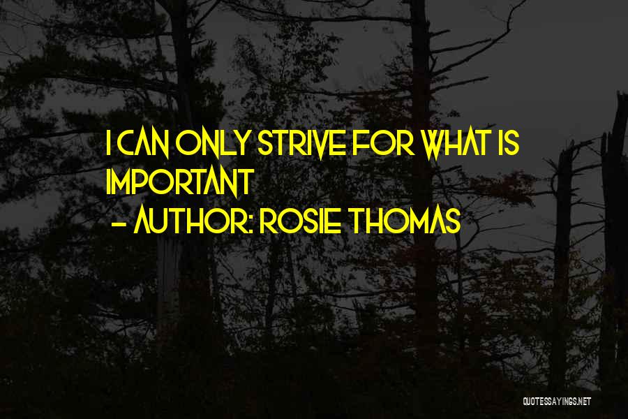 Rosie Thomas Quotes: I Can Only Strive For What Is Important