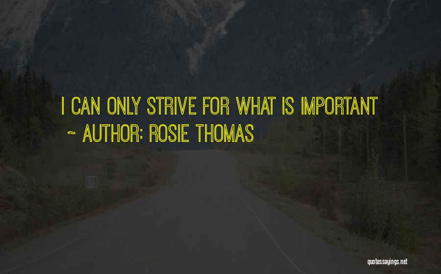 Rosie Thomas Quotes: I Can Only Strive For What Is Important