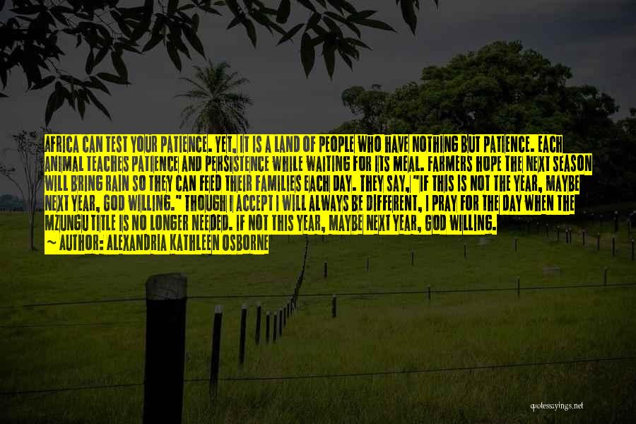 Alexandria Kathleen Osborne Quotes: Africa Can Test Your Patience. Yet, It Is A Land Of People Who Have Nothing But Patience. Each Animal Teaches