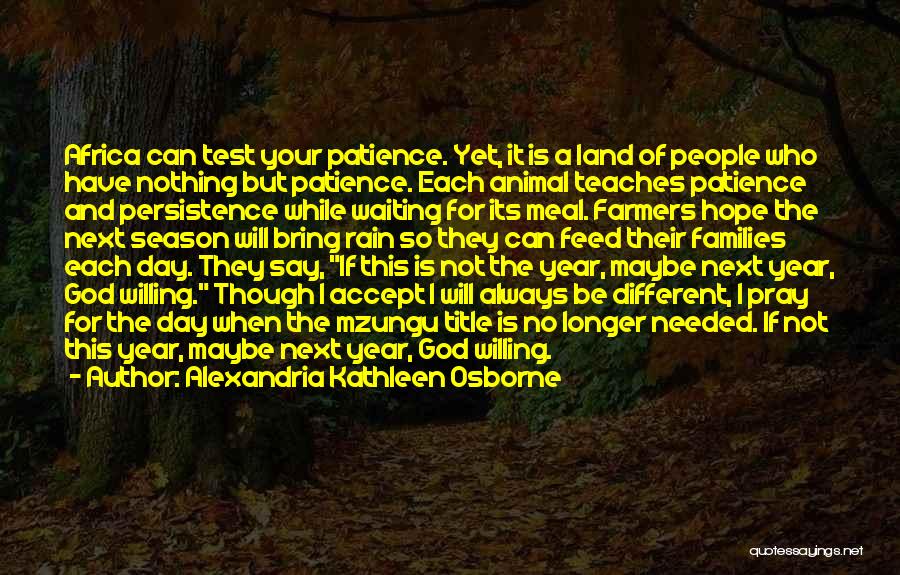 Alexandria Kathleen Osborne Quotes: Africa Can Test Your Patience. Yet, It Is A Land Of People Who Have Nothing But Patience. Each Animal Teaches