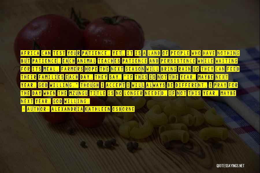 Alexandria Kathleen Osborne Quotes: Africa Can Test Your Patience. Yet, It Is A Land Of People Who Have Nothing But Patience. Each Animal Teaches