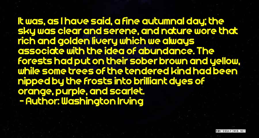 Washington Irving Quotes: It Was, As I Have Said, A Fine Autumnal Day; The Sky Was Clear And Serene, And Nature Wore That