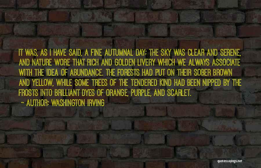 Washington Irving Quotes: It Was, As I Have Said, A Fine Autumnal Day; The Sky Was Clear And Serene, And Nature Wore That