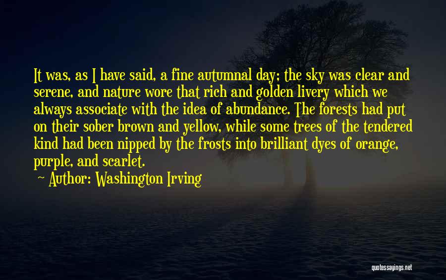 Washington Irving Quotes: It Was, As I Have Said, A Fine Autumnal Day; The Sky Was Clear And Serene, And Nature Wore That