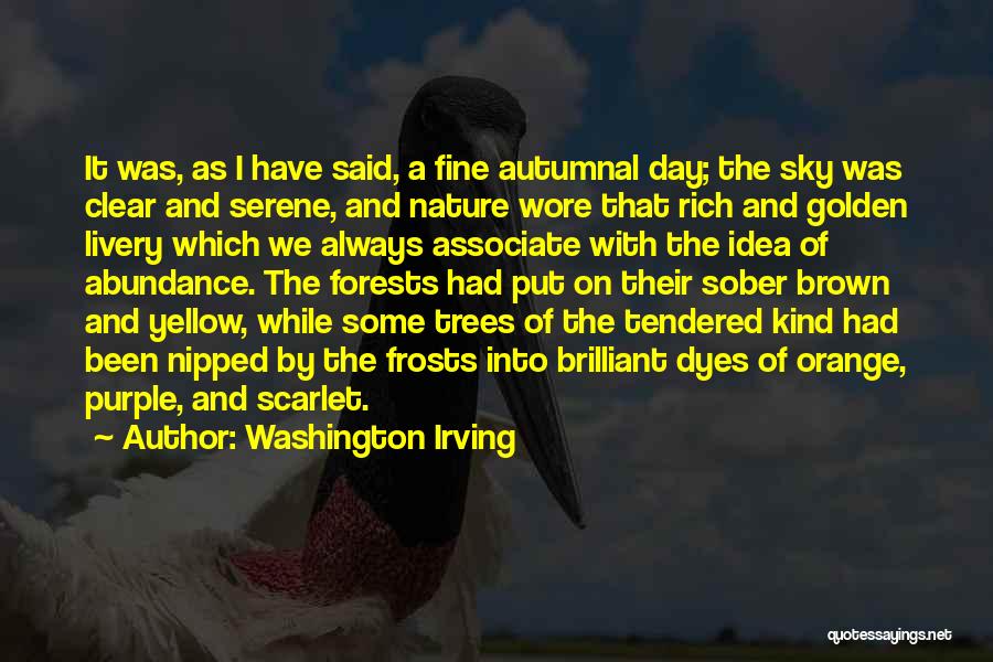 Washington Irving Quotes: It Was, As I Have Said, A Fine Autumnal Day; The Sky Was Clear And Serene, And Nature Wore That