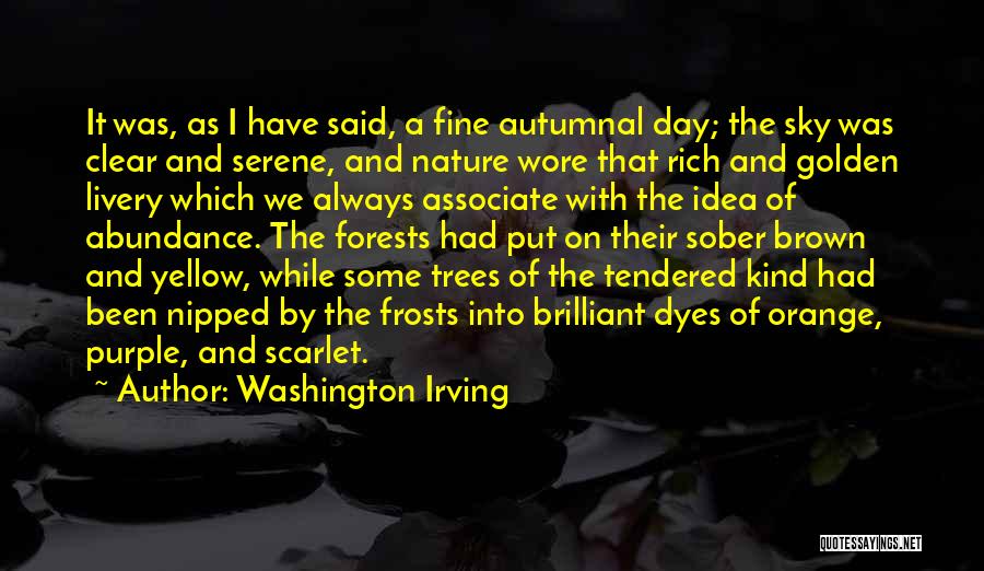 Washington Irving Quotes: It Was, As I Have Said, A Fine Autumnal Day; The Sky Was Clear And Serene, And Nature Wore That