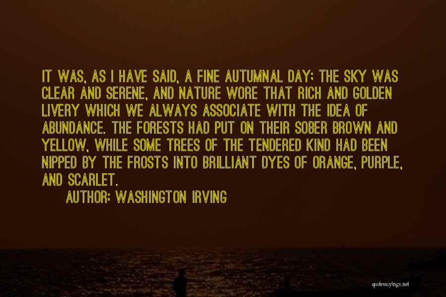 Washington Irving Quotes: It Was, As I Have Said, A Fine Autumnal Day; The Sky Was Clear And Serene, And Nature Wore That