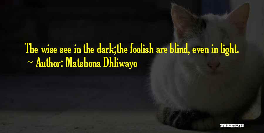 Matshona Dhliwayo Quotes: The Wise See In The Dark;the Foolish Are Blind, Even In Light.