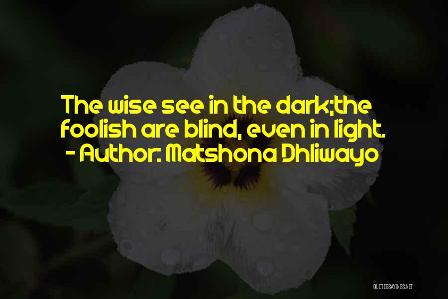Matshona Dhliwayo Quotes: The Wise See In The Dark;the Foolish Are Blind, Even In Light.