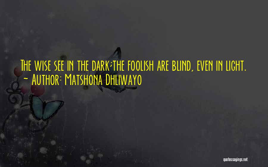 Matshona Dhliwayo Quotes: The Wise See In The Dark;the Foolish Are Blind, Even In Light.
