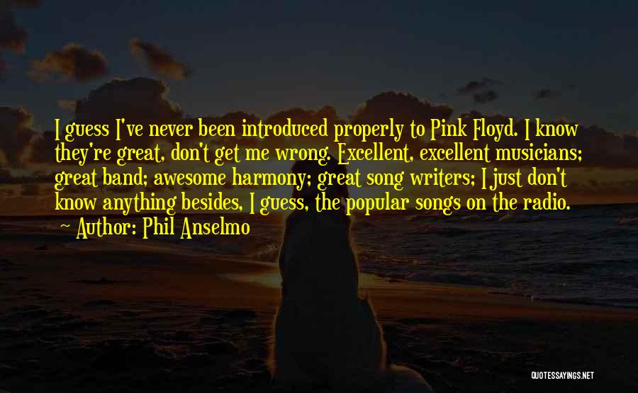 Phil Anselmo Quotes: I Guess I've Never Been Introduced Properly To Pink Floyd. I Know They're Great, Don't Get Me Wrong. Excellent, Excellent