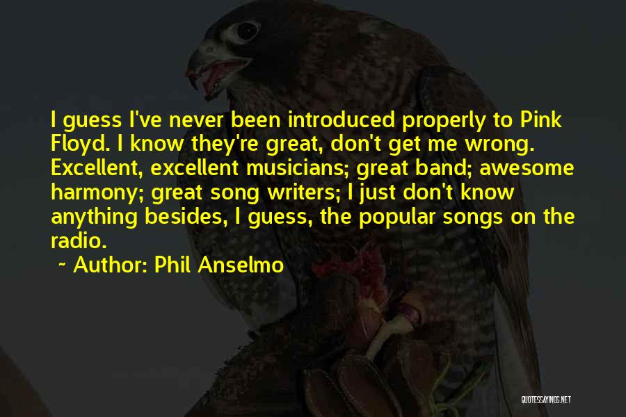 Phil Anselmo Quotes: I Guess I've Never Been Introduced Properly To Pink Floyd. I Know They're Great, Don't Get Me Wrong. Excellent, Excellent