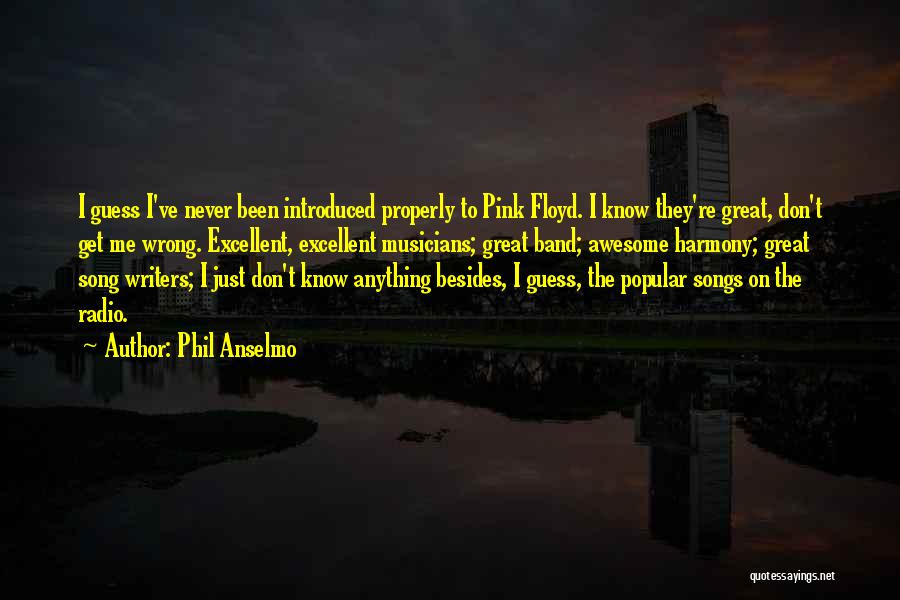 Phil Anselmo Quotes: I Guess I've Never Been Introduced Properly To Pink Floyd. I Know They're Great, Don't Get Me Wrong. Excellent, Excellent