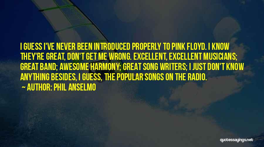 Phil Anselmo Quotes: I Guess I've Never Been Introduced Properly To Pink Floyd. I Know They're Great, Don't Get Me Wrong. Excellent, Excellent