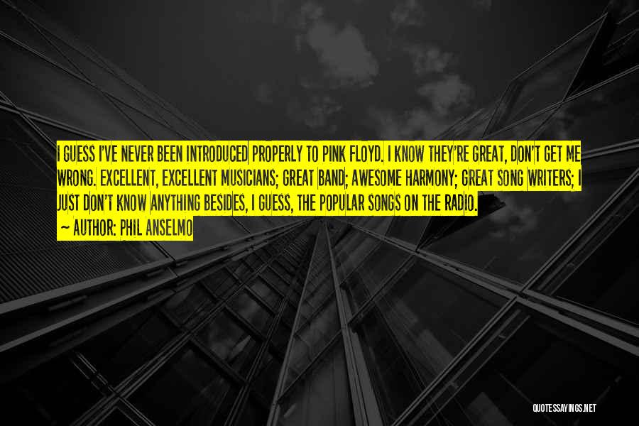 Phil Anselmo Quotes: I Guess I've Never Been Introduced Properly To Pink Floyd. I Know They're Great, Don't Get Me Wrong. Excellent, Excellent