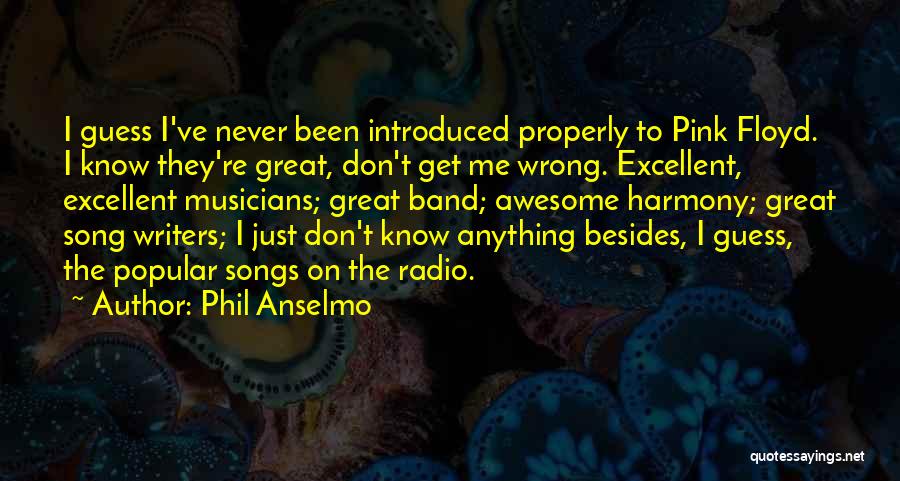 Phil Anselmo Quotes: I Guess I've Never Been Introduced Properly To Pink Floyd. I Know They're Great, Don't Get Me Wrong. Excellent, Excellent