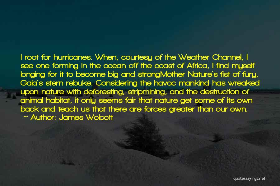 James Wolcott Quotes: I Root For Hurricanes. When, Courtesy Of The Weather Channel, I See One Forming In The Ocean Off The Coast