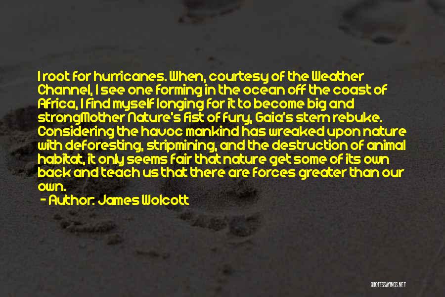 James Wolcott Quotes: I Root For Hurricanes. When, Courtesy Of The Weather Channel, I See One Forming In The Ocean Off The Coast