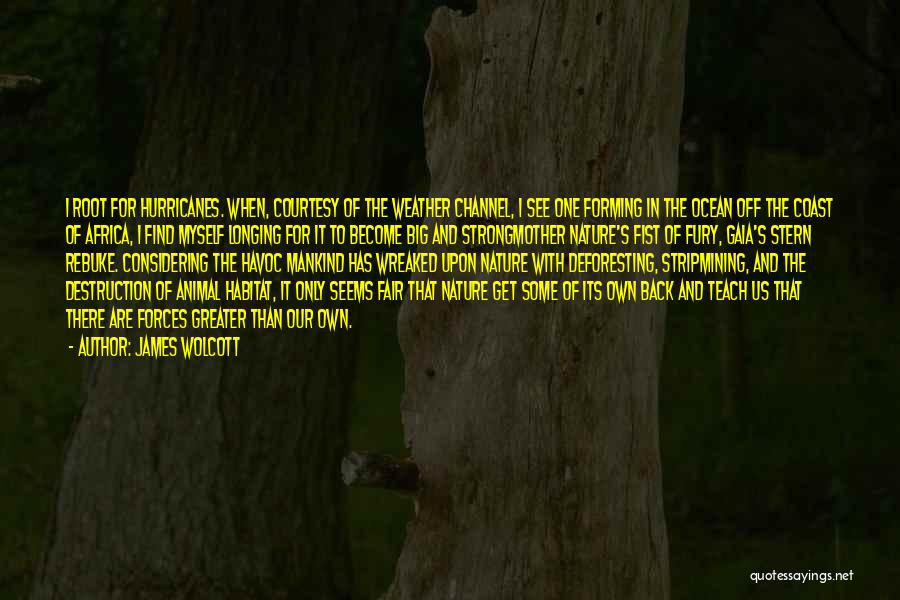 James Wolcott Quotes: I Root For Hurricanes. When, Courtesy Of The Weather Channel, I See One Forming In The Ocean Off The Coast