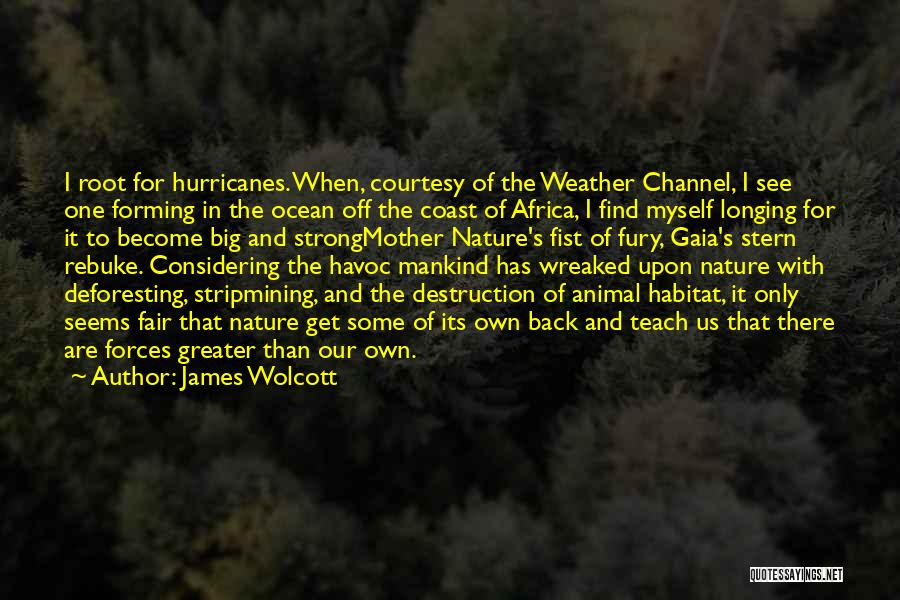 James Wolcott Quotes: I Root For Hurricanes. When, Courtesy Of The Weather Channel, I See One Forming In The Ocean Off The Coast