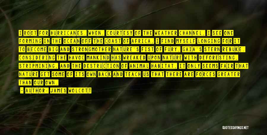 James Wolcott Quotes: I Root For Hurricanes. When, Courtesy Of The Weather Channel, I See One Forming In The Ocean Off The Coast