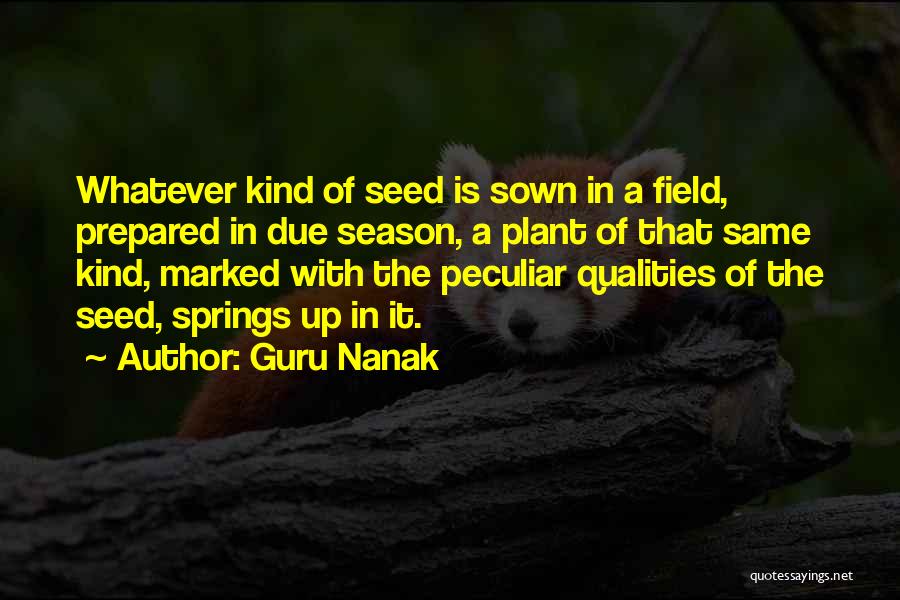 Guru Nanak Quotes: Whatever Kind Of Seed Is Sown In A Field, Prepared In Due Season, A Plant Of That Same Kind, Marked