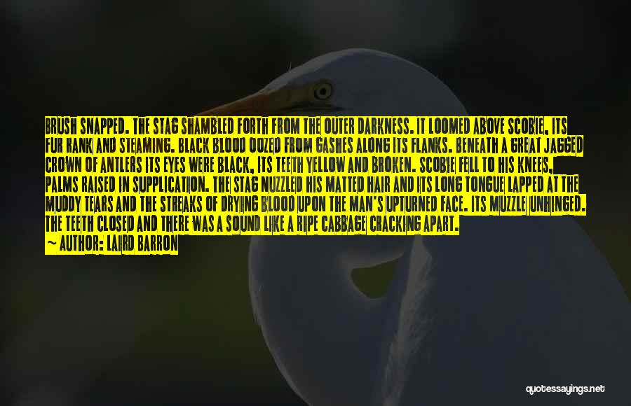 Laird Barron Quotes: Brush Snapped. The Stag Shambled Forth From The Outer Darkness. It Loomed Above Scobie, Its Fur Rank And Steaming. Black