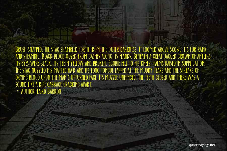 Laird Barron Quotes: Brush Snapped. The Stag Shambled Forth From The Outer Darkness. It Loomed Above Scobie, Its Fur Rank And Steaming. Black